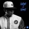 Anselm Ineedyou - What I Want - Single